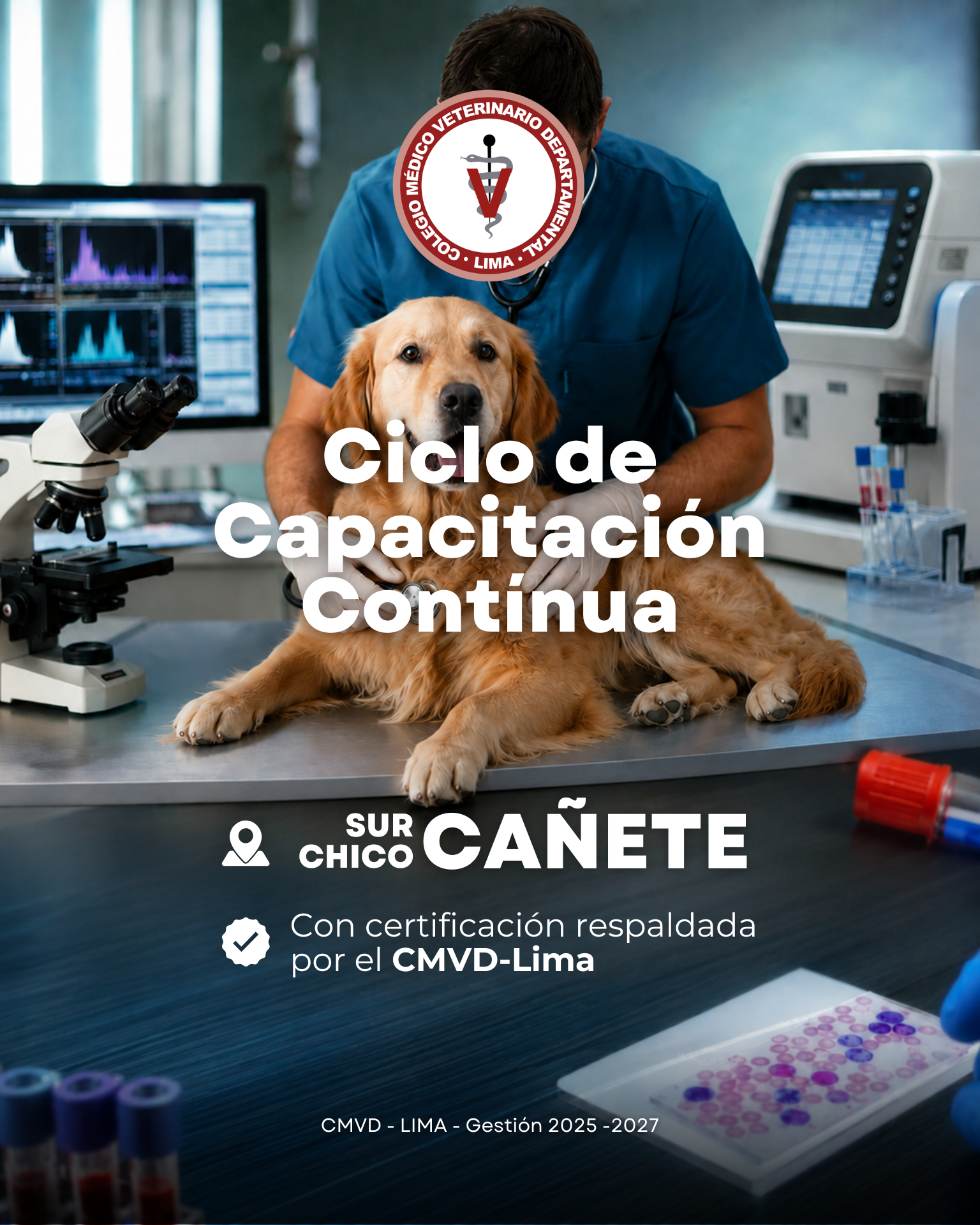 Jueves de Capacitación Continua: Jornada Descentralizada en Cañete
