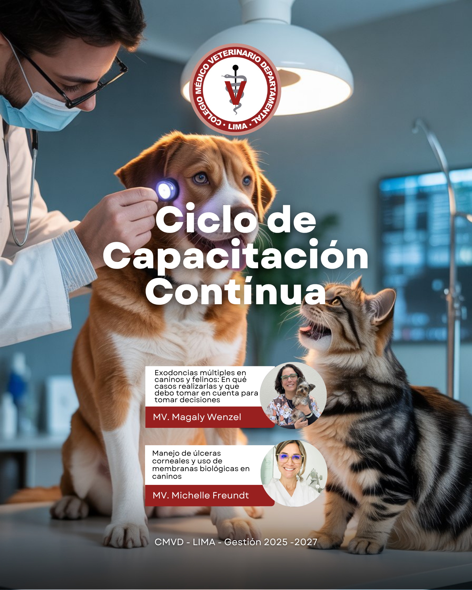 Actualización en odontología y oftalmología clínica