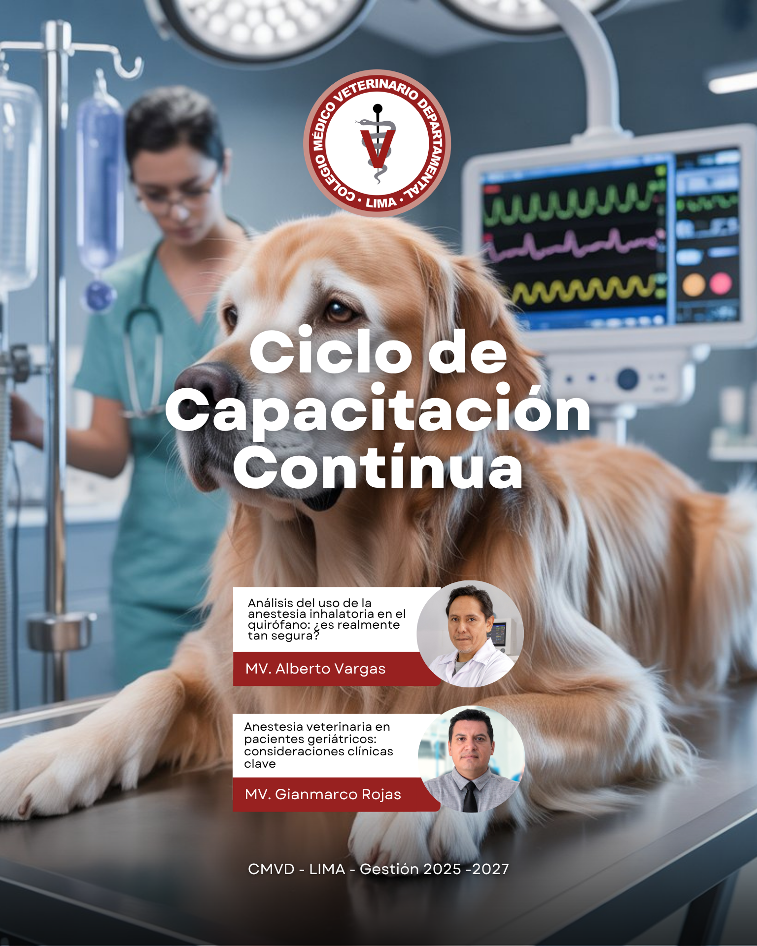 Seguridad anestésica en la práctica veterinaria