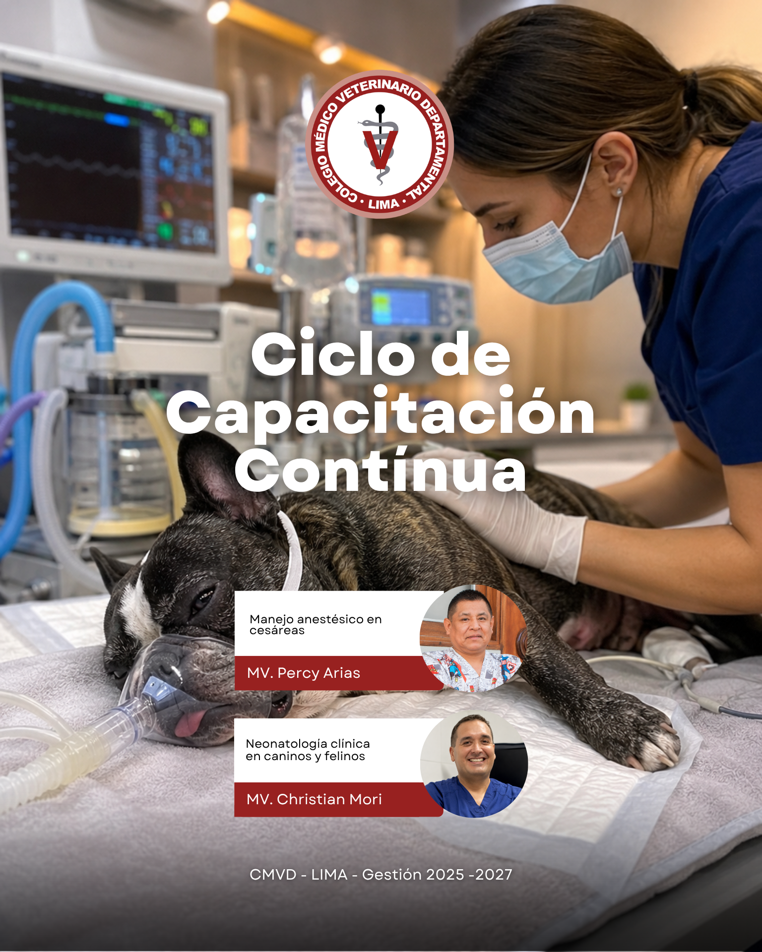 Cada Minuto Cuenta: Anestesia y Neonatología Veterinaria