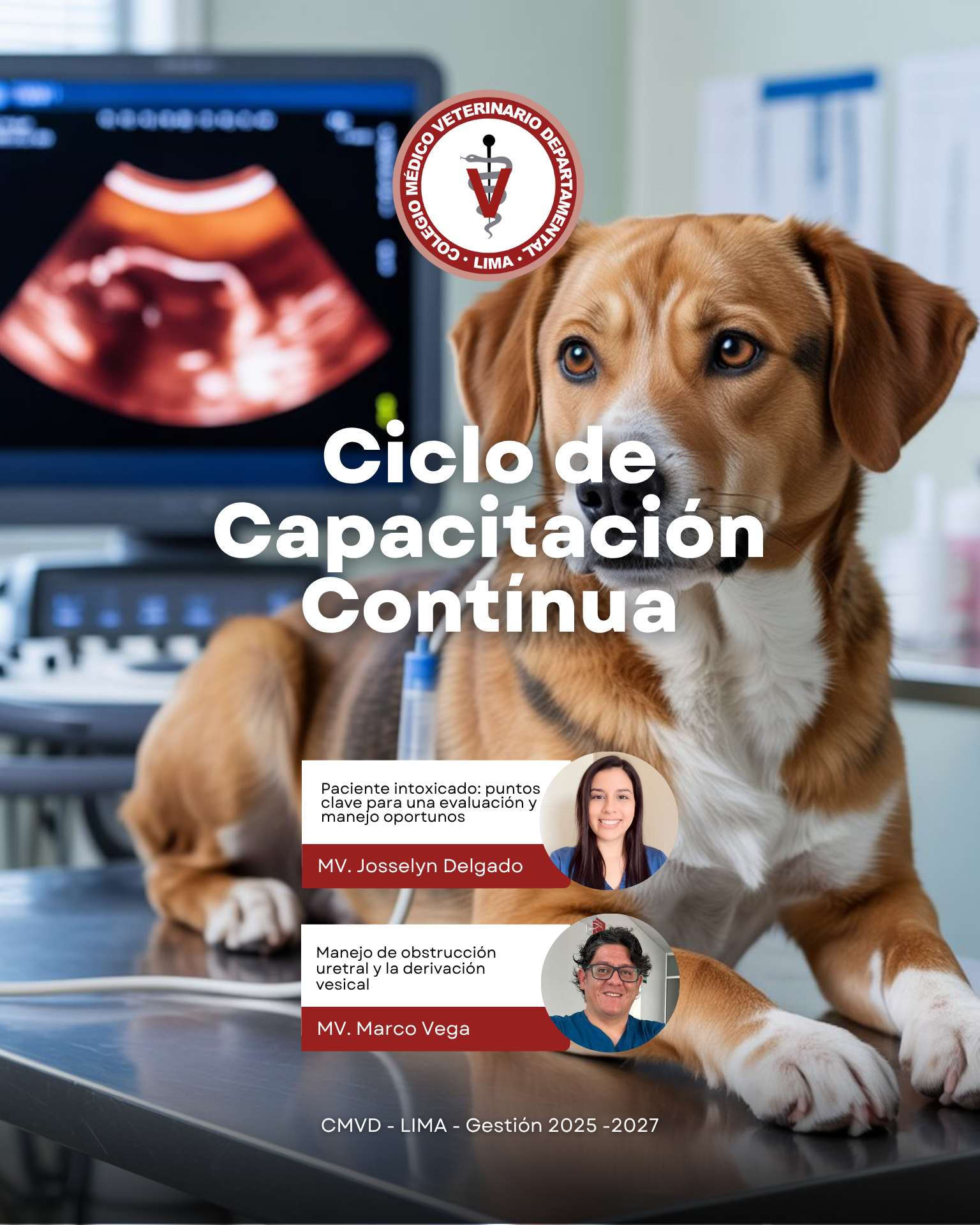 Urgencias veterinarias: intoxicaciones y obstrucción uretral