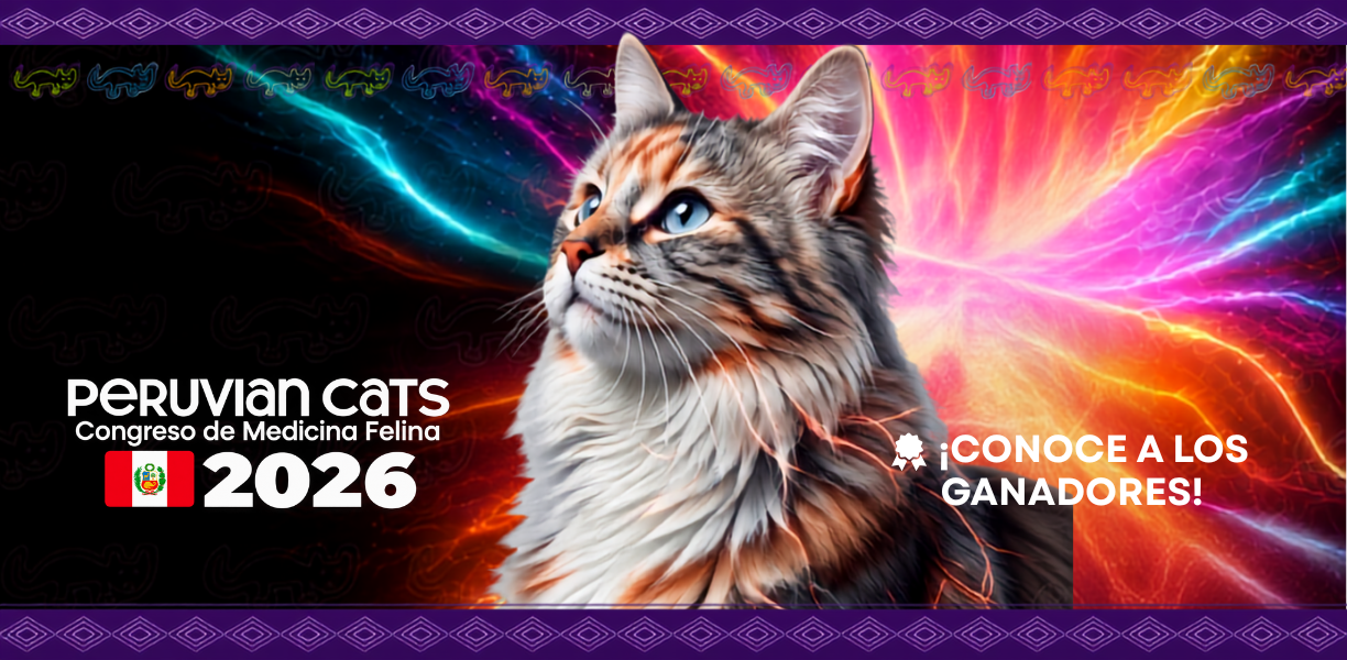 Conoce a los ganadores del sorteo Peruvian Cats 2026