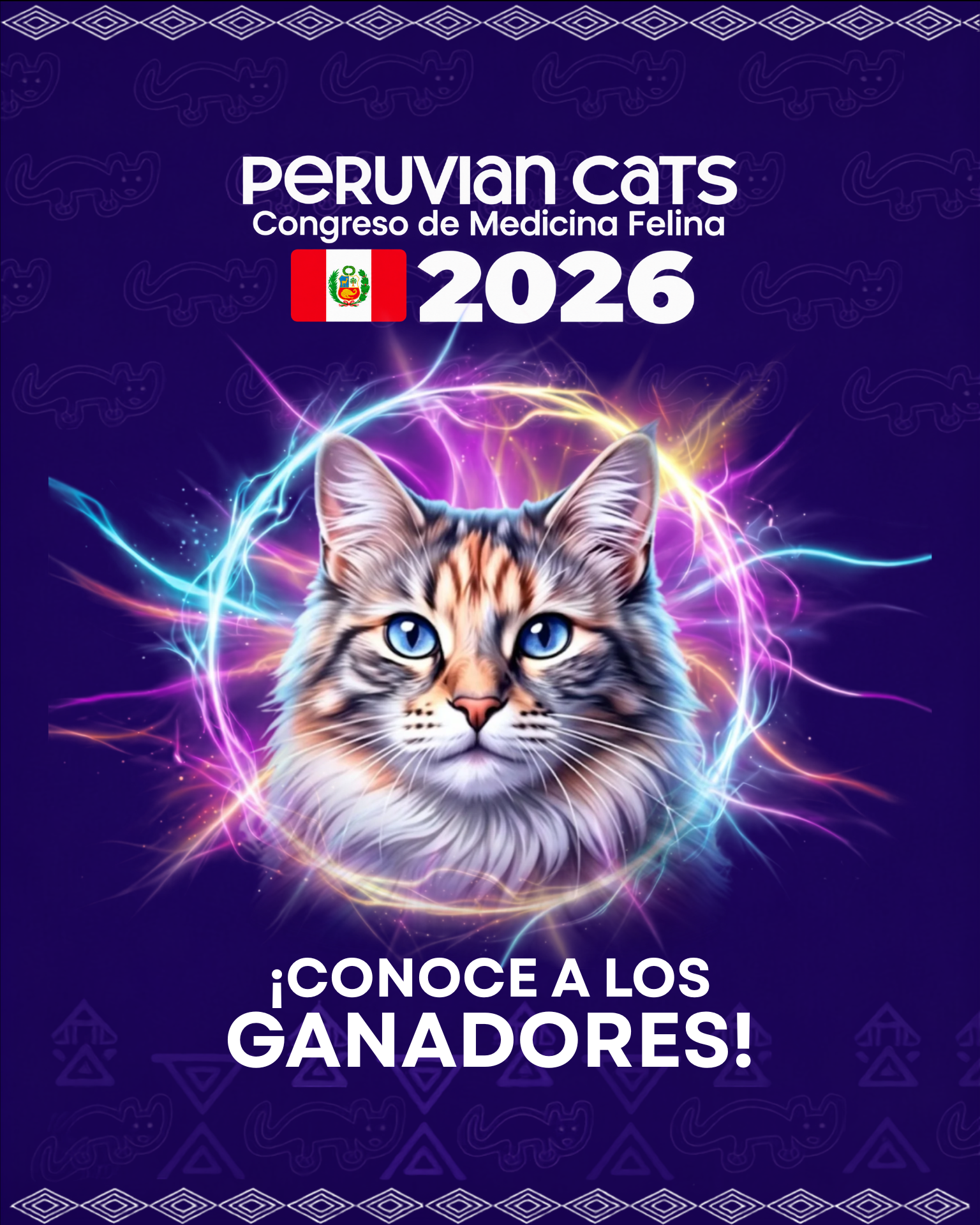 Conoce a los ganadores del sorteo Peruvian Cats 2026