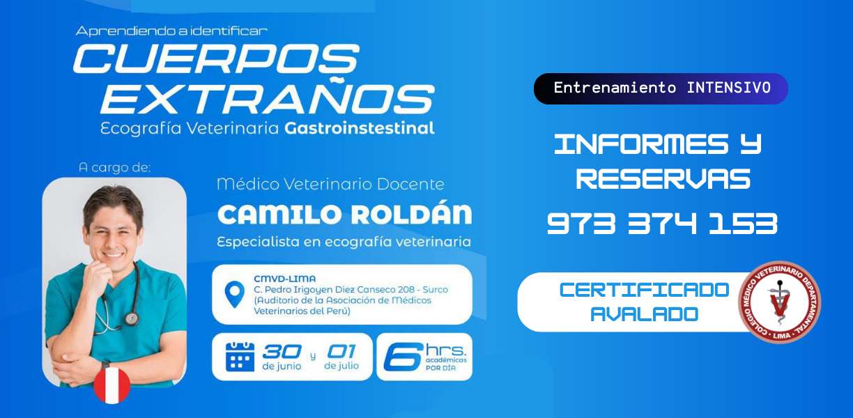 Entrenamiento Intensivo: Identificación de Cuerpos Extraños en Ecografía Veterinaria Gastrointestinal