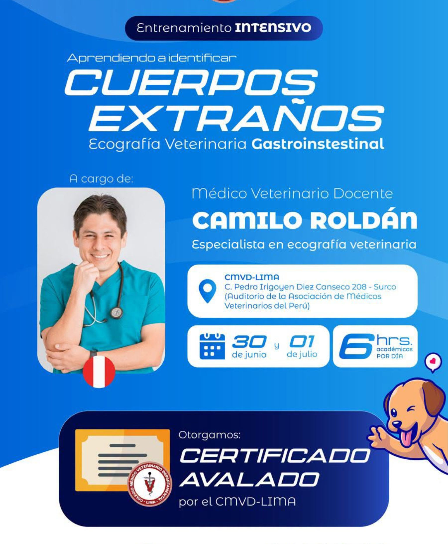 Entrenamiento Intensivo en Ecografía Veterinaria Gastrointestinal